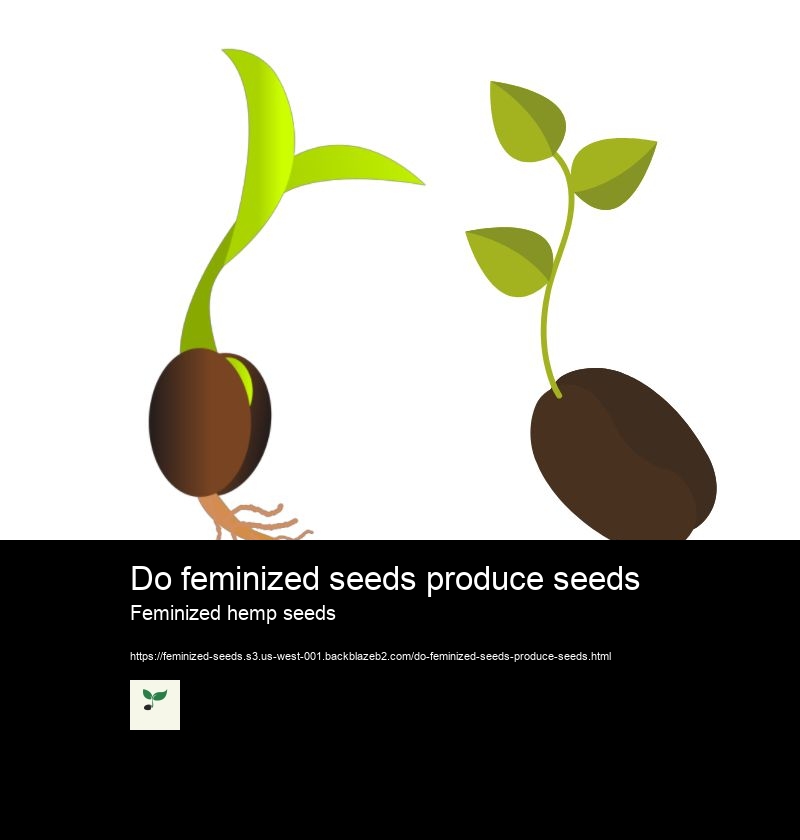Do feminized seeds produce seeds Feminized hemp seeds How to make feminized seeds with colloidal silver