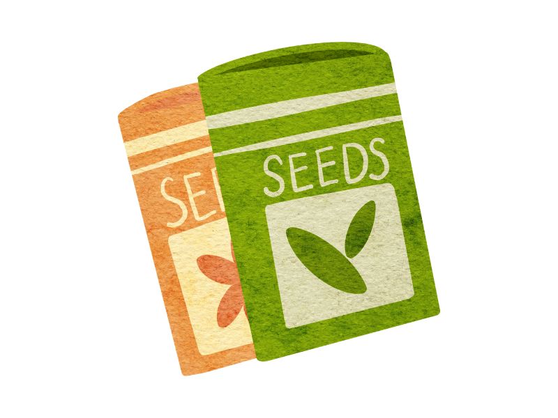 Feminized hemp seeds